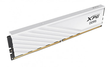 Memoria RAM Adata Lancer Blade DDR5, 5600MHz, 8GB, CL46, XMP/EXPO, Blanco